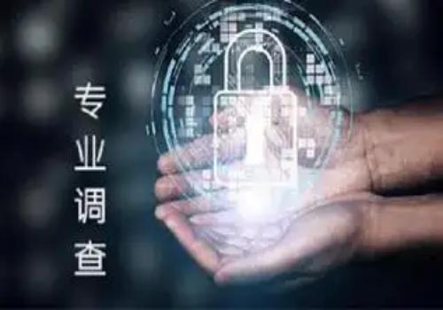 民事诉讼开庭后提交补充质证可以吗